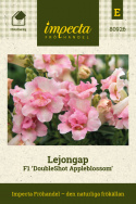 Lejongap F1 'DoubleShot Appleblossom', blommor i utsökt äppelblomsrosa och gräddvitt på mycket stabila stjälkar.