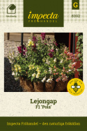 Lejongap F1 'Pola', Blommor i vinrött, rosa, laxorange, gult och vitt.