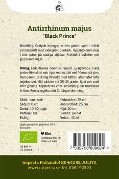Lejongap 'Black Prince' Impecta odlingsanvisning