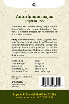 Lejongap 'Brighton Rock' Impecta odlingsanvisning
