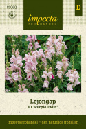 Lejongap F1 ''Purple Twist''. Höga blomspiror i vitt med hallonröda strimmor.