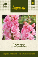 Lejongap F1 'Snapstar Pink', Buskigt växtsätt för krukor och rabatt, med utmärkt kvalitet för färska arrangemang och buketter.