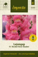 Lejongap F1 'Rocket Rose Shades', Täta blomspiror i rosa med gult svalg.