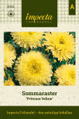 Sommaraster 'Princess Yellow'