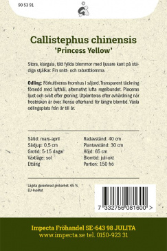 Sommaraster 'Princess Yellow'