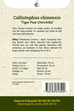 Sommaraster 'Tiger Paw Chinchilla'