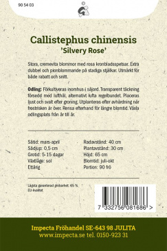 Sommaraster 'Silvery Rose' Impecta odlingsanvisning