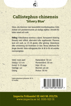Sommaraster 'Silvery Blue' Impecta odlingsanvisning