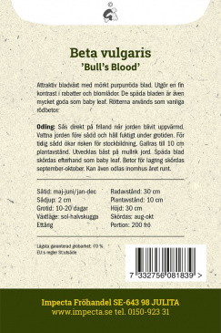 Rödbeta 'Bull's Blood' Impecta odlingsanvisning
