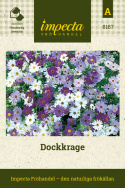 Dockkrage, små kragblommor i blått, skärt, lila och vitt med svart öga.