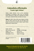 Ringblomma 'Costa Light Yellow'