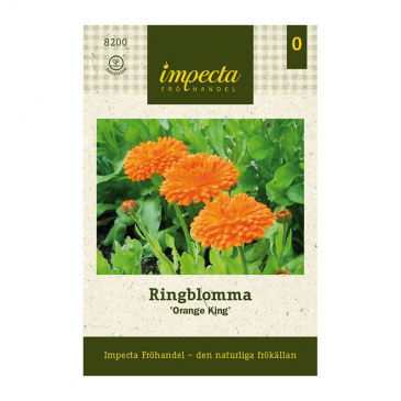 Ringblomma 'Orange King'