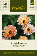 Ringblomma 'Orange Flash', heldubbla blommor, puderrosa och gula med roströd ton