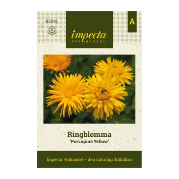 Ringblomma 'Porcupine Yellow'