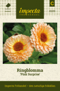 Ringblomma 'Pink Surprise', flerdubbla blommor, unik färg i aprikos, rosa, gult.