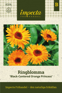 Ringblomma 'Black-Centered Orange Princess' Impecta fröpåse
