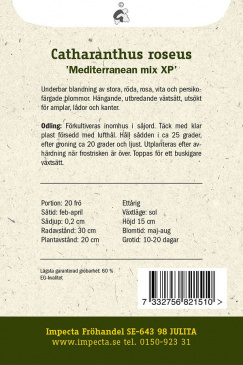 Rosensköna 'Mediterranean Mix XP' Impecta odlingsanvisning