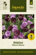 Blåklint 'Black & Mauve', Dubbelblommande klint i purpurröd och lilarosa