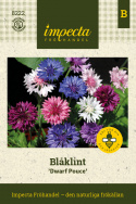 Blåklint 'Dwarf Pouce', Tätt dubbelblommande i fin färgblandning.