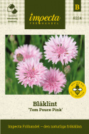 Blåklint 'Tom Pouce Pink', klarrosa, tätt dubbla blommor. Lågt, kompakt växtsätt