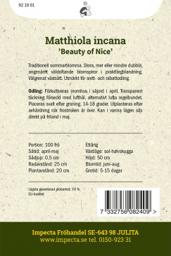 Sommarlövkoja 'Beauty Of Nice' Impecta odlingsanvisning