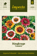 Ringkrage 'Confetti', Regnbågsblandning med två- och trefärgade blommor.