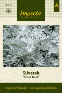 Silverek 'Silver Dust', djupt flikade, silverglänsande blad.