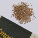 Silverek 'Silver Dust', djupt flikade, silverglänsande blad.