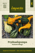 Prydnadspumpa 'Little Indian Mix', päronformade frukter i olika färger.