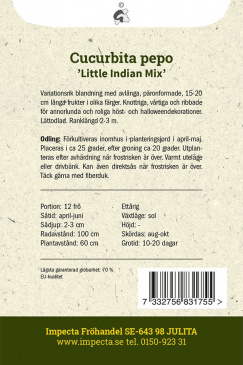 Prydnadspumpa 'Little Indian Mix' Impecta odlingsanvisning