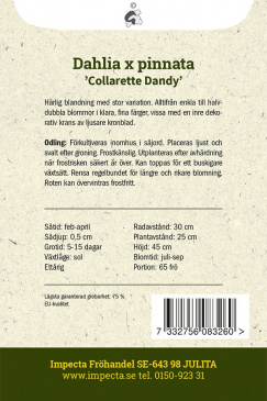 Halskråsdahlia 'Collarette Dandy' fröpåse baksida Impecta