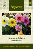 Sommardahlia ''''Redskin Mixed'''' Fröpåse
