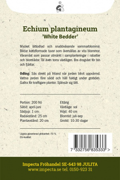 Blå Snokört 'White Bedder' Impecta odlingsanvisning