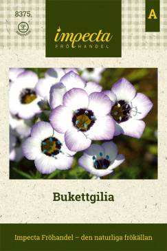 Bukettgilia Impecta fröpåse