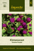 Klotamarant ''''Gnome Purple'''' Fröpåse