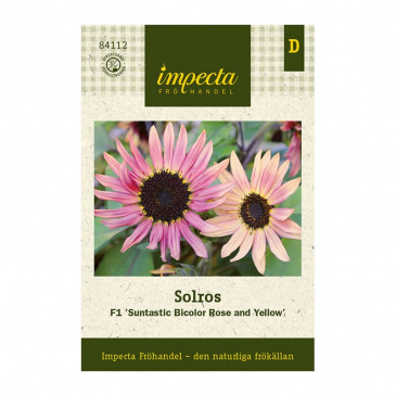 Solros F1 'Suntastic Bicolor Rose And Yellow'
