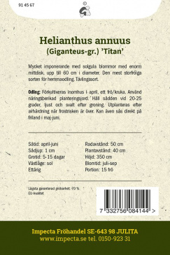 Jättesolros 'Titan' Impecta odlingsanvisning