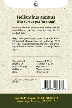 Röd Solros 'Red Sun' Impecta odlingsanvisning