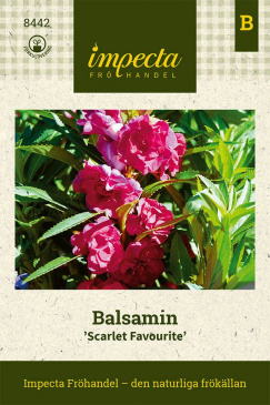 Balsamin 'Scarlet Favourite' Impecta fröpåse