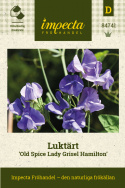 Luktärt 'Old Spice Lady Grisel Hamilton, Väldoftande lavendellila, skira blommo