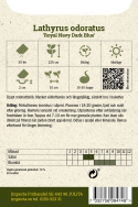 Luktärt 'Royal Navy Dark Blue', Djupt midnattsblå. Väldoftande och långstjälkig,
