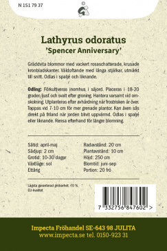 Luktärt 'Spencer Anniversary' Impecta odlingsanvisning