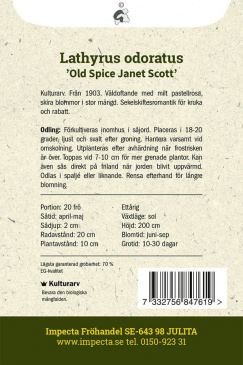 Luktärt 'Old Spice Janet Scott' Impecta odlingsanvisning