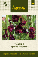 Luktärt 'Spencer Beaujolais', Mörkt purpurröda till djupt vinröda, sidenglänsande blommor.