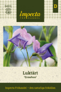 Luktärt 'Erewhon', tvåfärgade blommor i ljust purpurblått med pastellrosa segel.