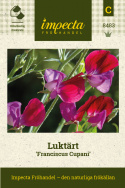 Luktärt 'Franciscus Cupani', halvstora, doftande blommor i violett och purpur