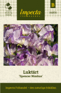 Luktärt 'Spencer Nimbus', Rikblommande och långstjälkig sort, utmärkt som snittblomma.