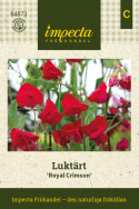 Luktärt 'Royal Crimson', Storblommande med djupt karmosinröda till ceriserosa blommor .