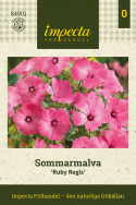 Sommarmalva 'Ruby Regis', Mycket rikblommande hela sommaren. Traditionell, lättodlad sommarblomma för snitt.