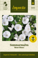 Sommarmalva 'Mont Blanc', Stora, öppna klockblommor, vita med silverlyster.